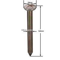 Çelik Anket Çivisi (100mm)