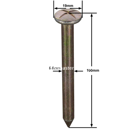 Çelik Anket Çivisi (100mm)