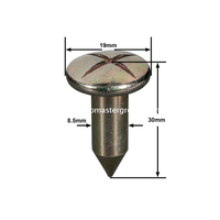 Çelik Anket Çivisi (30mm)