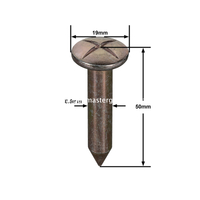 Çelik Anket Çivisi (50mm)